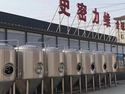 嵊泗精酿啤酒设备厂—市场规模与跨界新需求